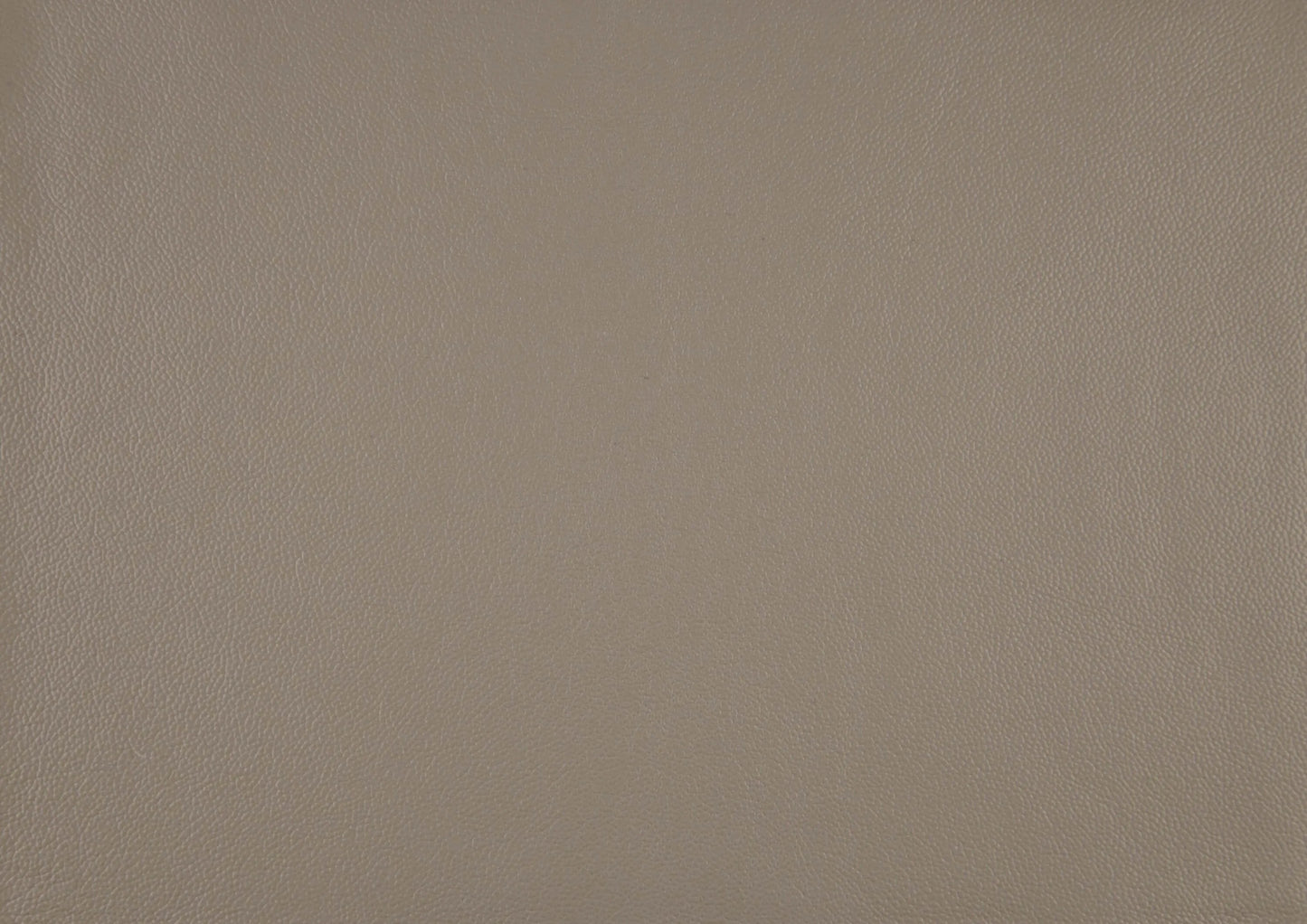 Solid latte brown leather color swatch