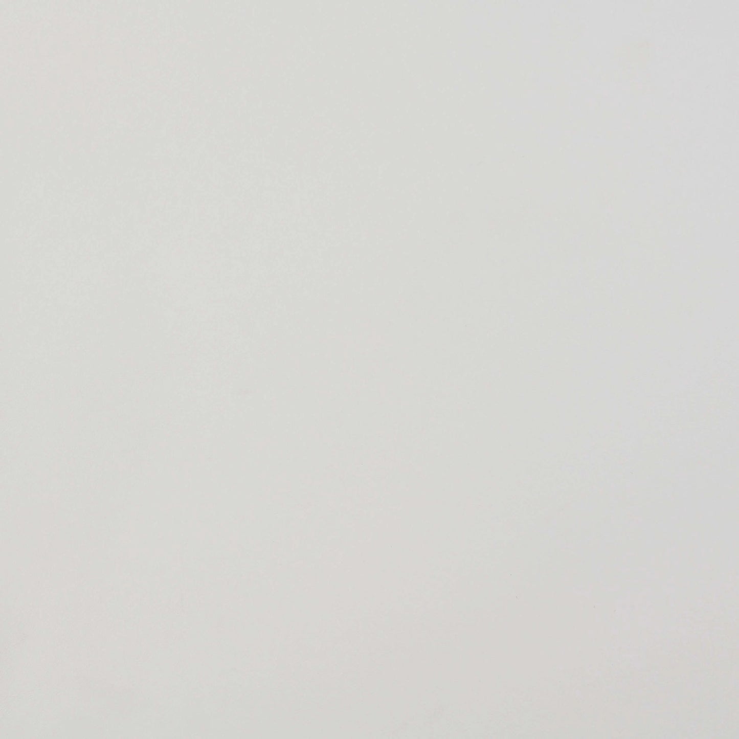 Solid light gray color swatch