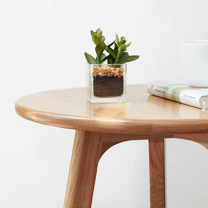 Close up of a wooden end table with a small plant and books on a white background