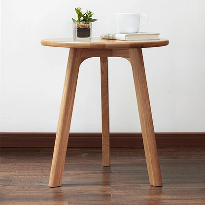 Wooden accent table with a plant and books on a plain background