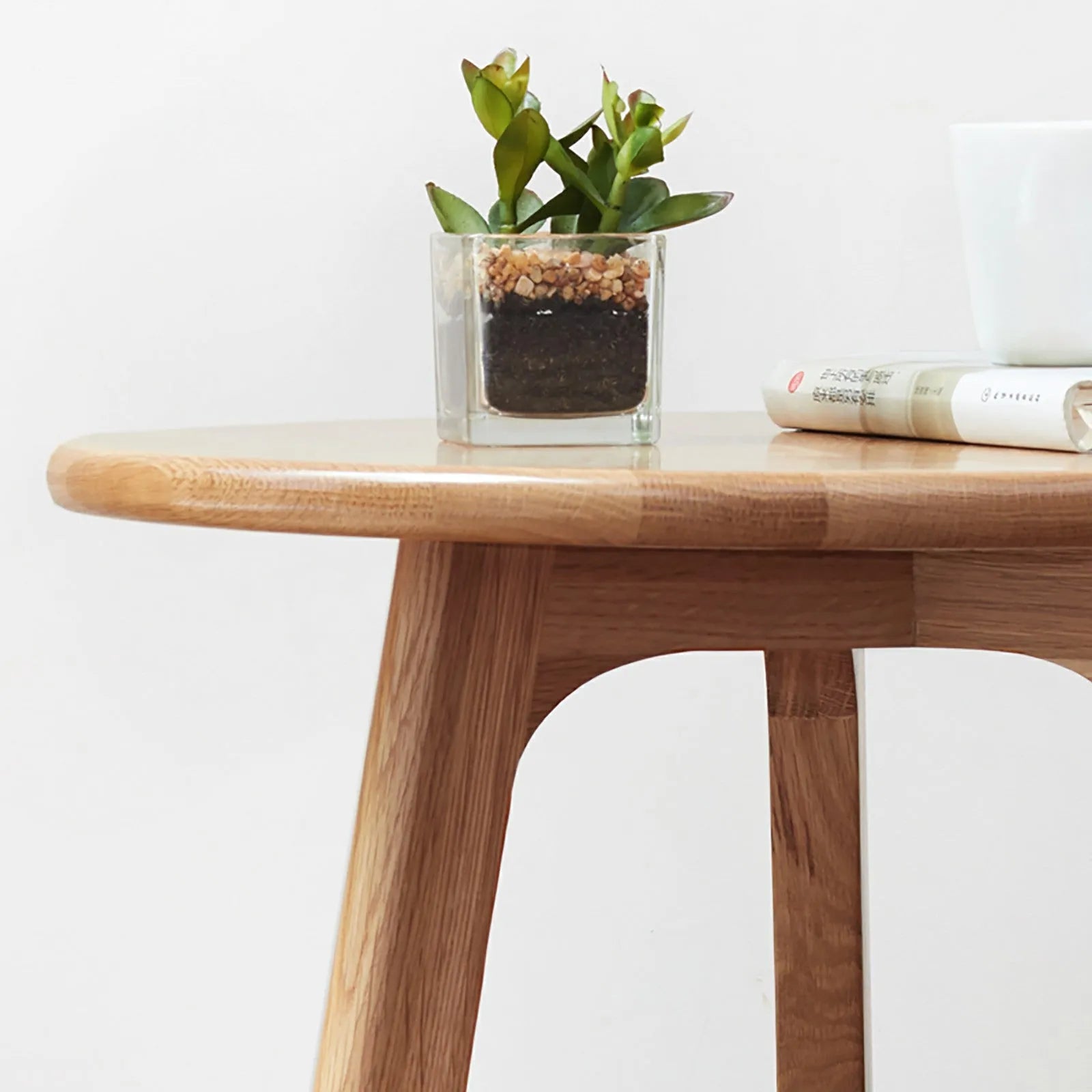 Wooden end table top with a plant and book on a white background