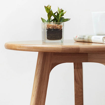Wooden end table top with a plant and book on a white background