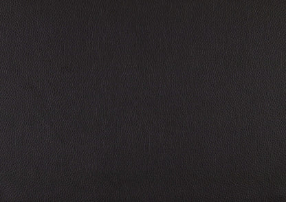 Modern Reclining Pillowtop Arms Recliner - Upholstry color swatch