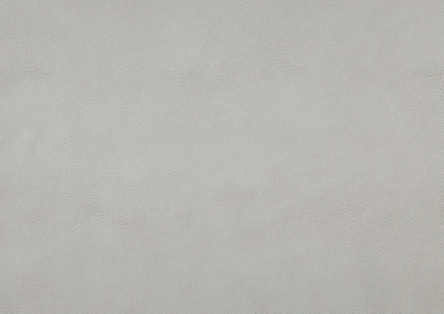 Solid light gray color swatch