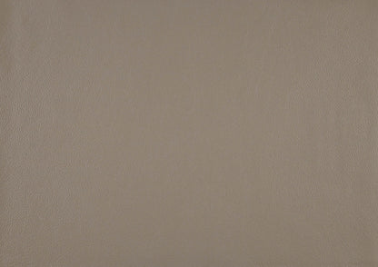 Solid latte brown leather color swatch