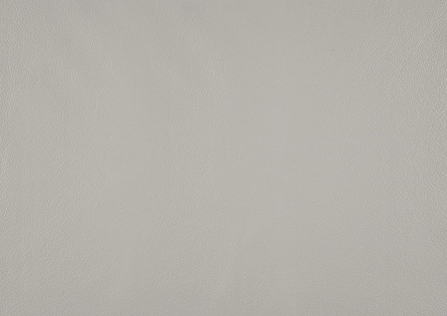 Solid silver leather color swatch