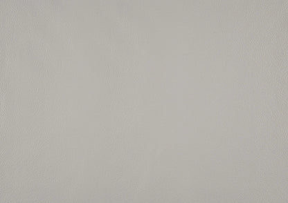 Solid silver leather color swatch