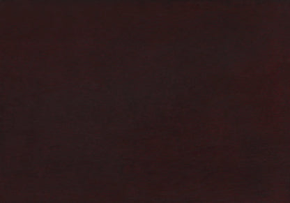 Solid dark brown color swatch