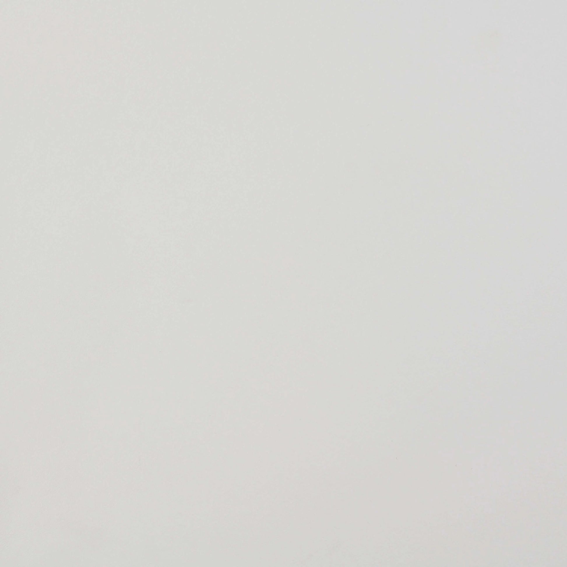 Solid light gray color swatch