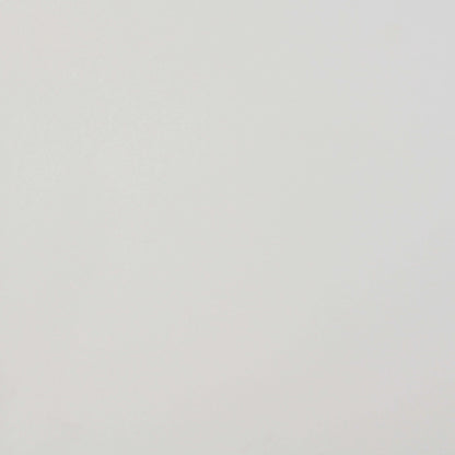 Solid light gray color swatch