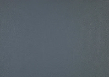Blue gray leather color swatch